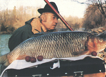 Record photograph for Squalius cephalus